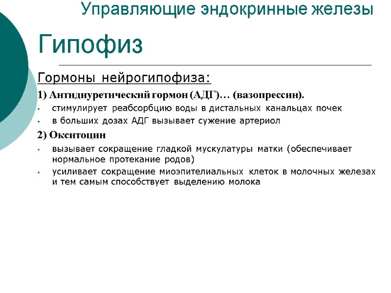 Управляющие эндокринные железы Гипофиз Гормоны нейрогипофиза: 1) Антидиуретический гормон (АДГ)… (вазопрессин). стимулирует реабсорбцию воды